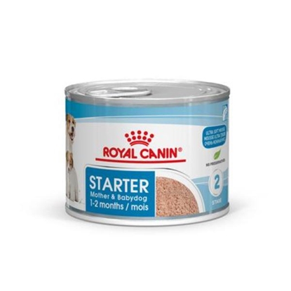 Picture of Royal Canin Starter Mousse for Mother & Babydog